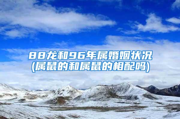 88龙和96年属婚姻状况(属鼠的和属鼠的相配吗)