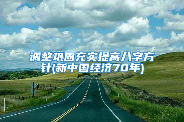 调整巩固充实提高八字方针(新中国经济70年)
