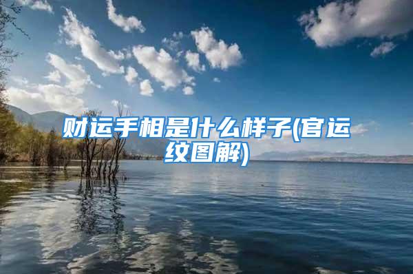 财运手相是什么样子(官运纹图解)