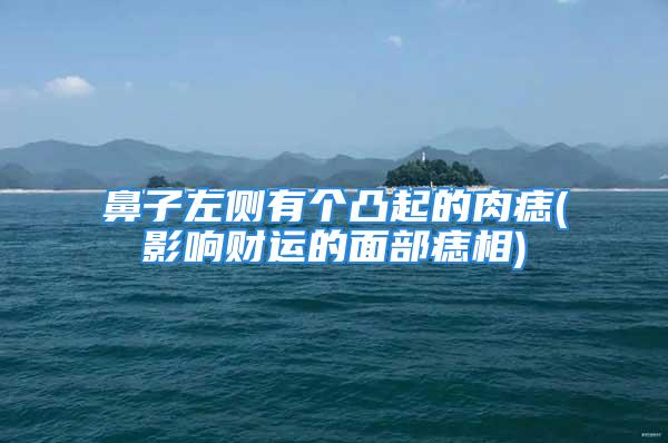 鼻子左侧有个凸起的肉痣(影响财运的面部痣相)