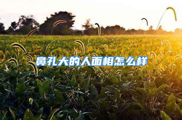 鼻孔大的人面相怎么样