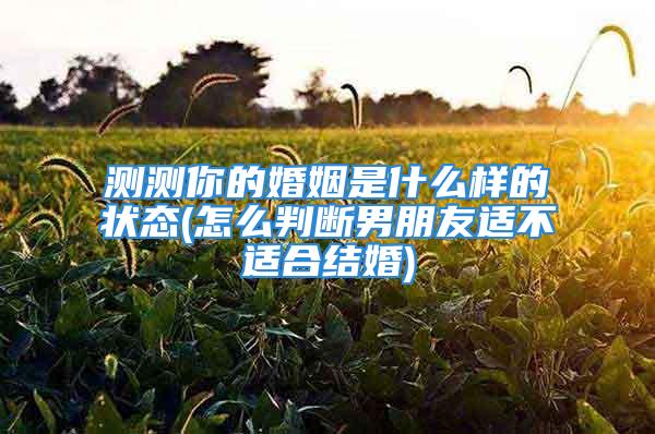 测测你的婚姻是什么样的状态(怎么判断男朋友适不适合结婚)