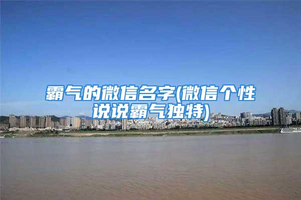 霸气的微信名字(微信个性说说霸气独特)