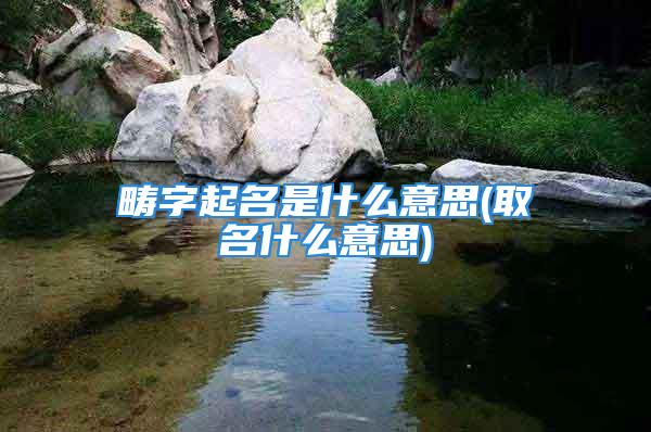 畴字起名是什么意思(取名什么意思)