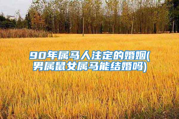 90年属马人注定的婚姻(男属鼠女属马能结婚吗)