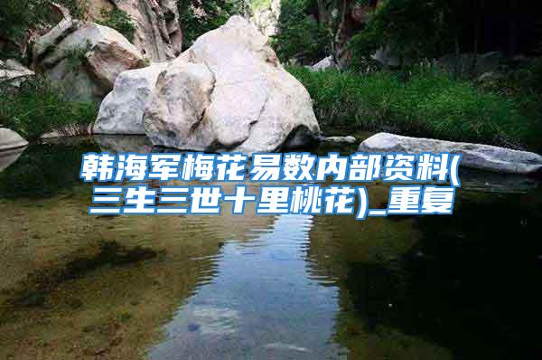 韩海军梅花易数内部资料(三生三世十里桃花)_重复