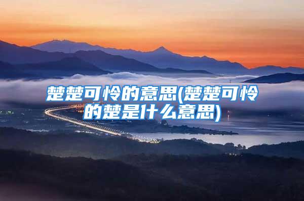 楚楚可怜的意思(楚楚可怜的楚是什么意思)