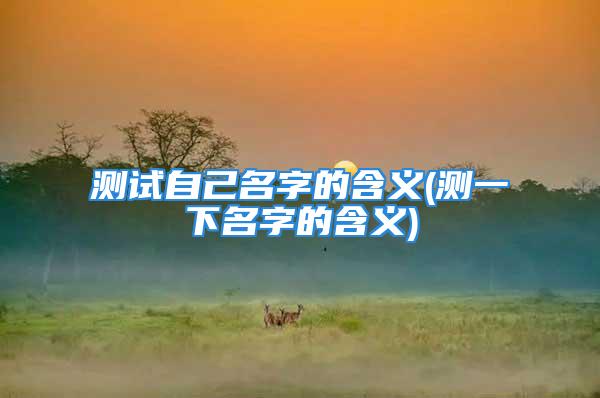 测试自己名字的含义(测一下名字的含义)