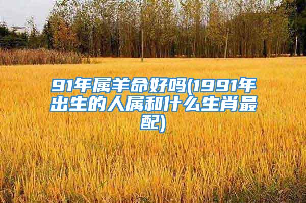 91年属羊命好吗(1991年出生的人属和什么生肖最配)