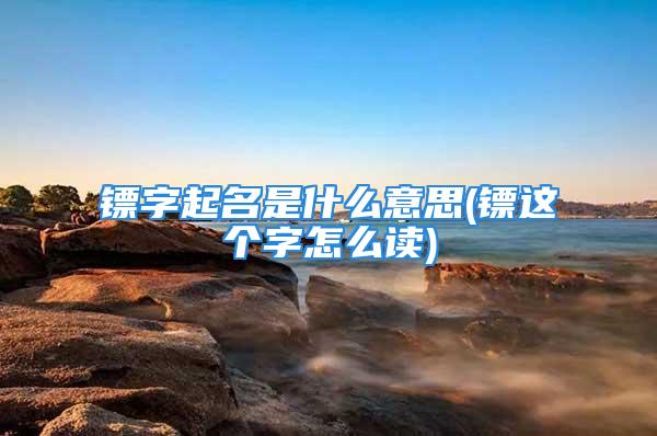 镖字起名是什么意思(镖这个字怎么读)