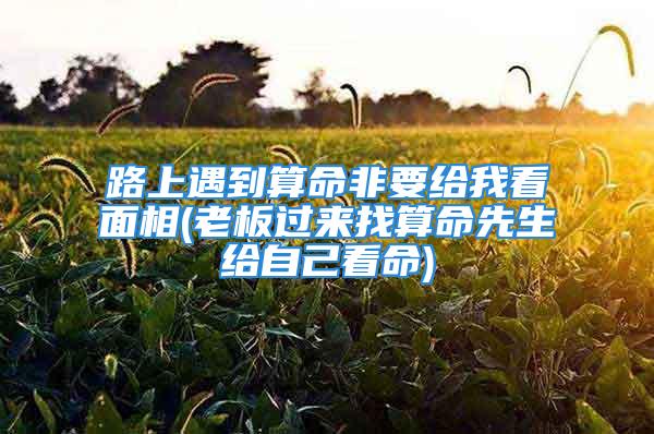 路上遇到算命非要给我看面相(老板过来找算命先生给自己看命)