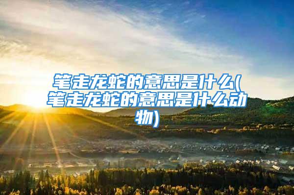笔走龙蛇的意思是什么(笔走龙蛇的意思是什么动物)