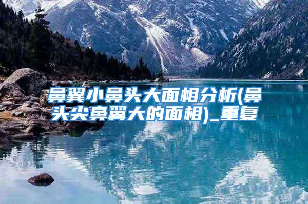 鼻翼小鼻头大面相分析(鼻头尖鼻翼大的面相)_重复