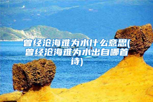 曾经沧海难为水什么意思(曾经沧海难为水出自哪首诗)