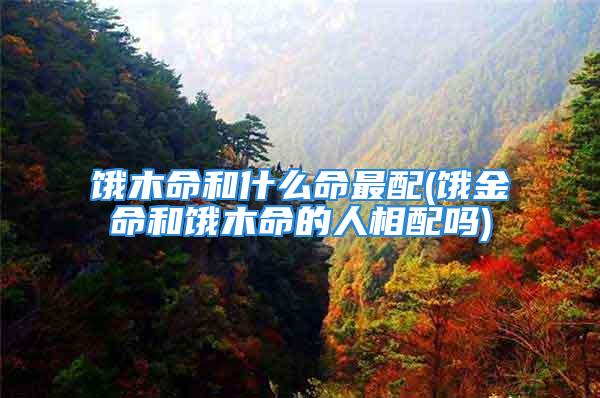 饿木命和什么命最配(饿金命和饿木命的人相配吗)