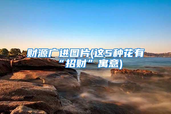 财源广进图片(这5种花有“招财”寓意)