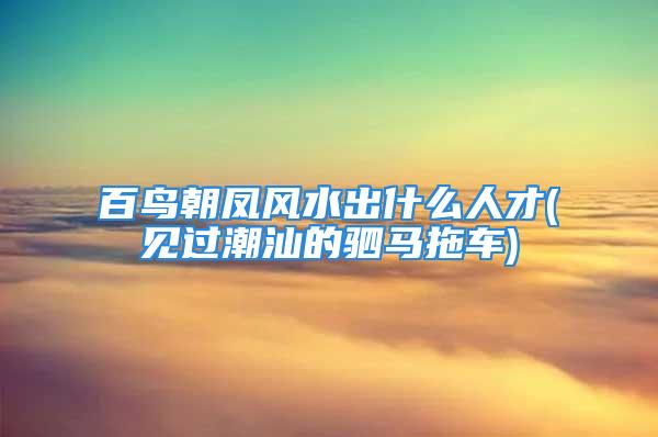 百鸟朝凤风水出什么人才(见过潮汕的驷马拖车)