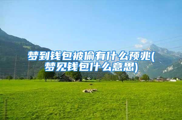 梦到钱包被偷有什么预兆(梦见钱包什么意思)