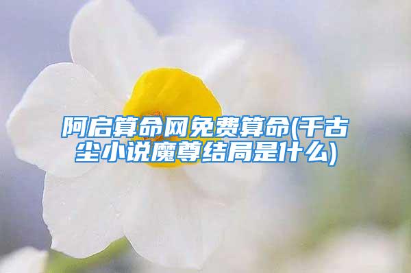 阿启算命网免费算命(千古玦尘小说魔尊结局是什么)