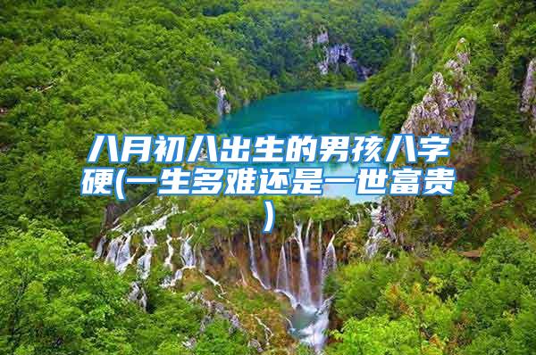 八月初八出生的男孩八字硬(一生多难还是一世富贵)