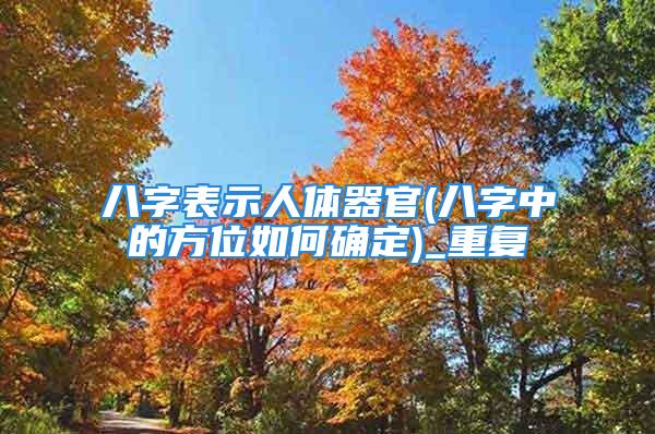 八字表示人体器官(八字中的方位如何确定)_重复
