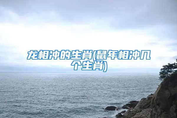 龙相冲的生肖(鼠年相冲几个生肖)
