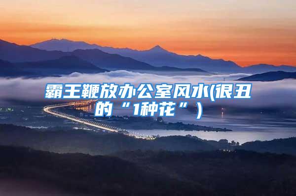 霸王鞭放办公室风水(很丑的“1种花”)