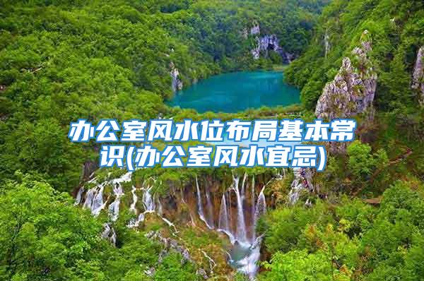 办公室风水位布局基本常识(办公室风水宜忌)