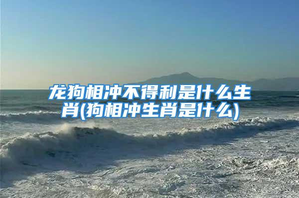 龙狗相冲不得利是什么生肖(狗相冲生肖是什么)