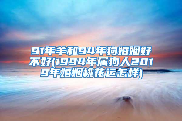91年羊和94年狗婚姻好不好(1994年属狗人2019年婚姻桃花运怎样)