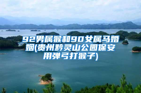 92男属猴和90女属马婚姻(贵州黔灵山公园保安用弹弓打猴子)