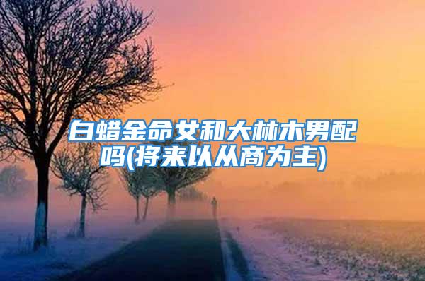 白蜡金命女和大林木男配吗(将来以从商为主)