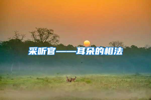 采听官——耳朵的相法