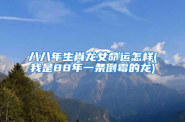 八八年生肖龙女命运怎样(我是88年一条倒霉的龙)