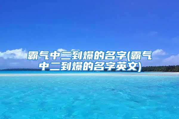 霸气中二到爆的名字(霸气中二到爆的名字英文)