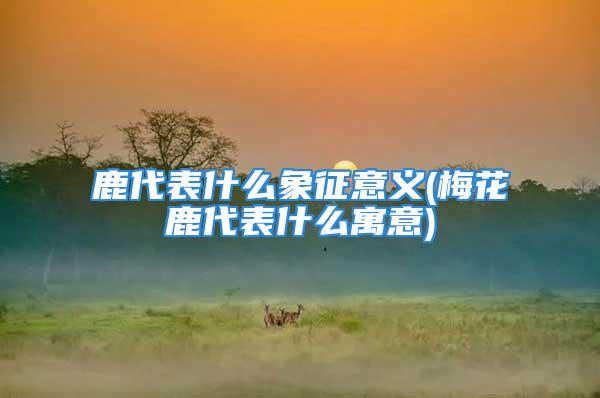 鹿代表什么象征意义(梅花鹿代表什么寓意)