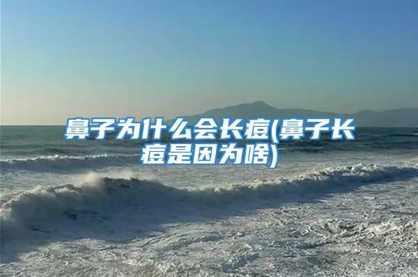 鼻子为什么会长痘(鼻子长痘是因为啥)