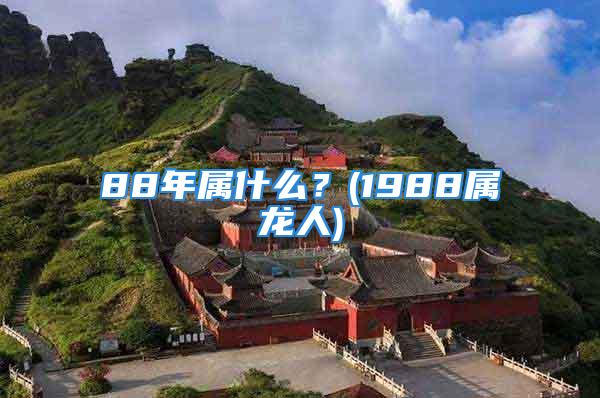 88年属什么？(1988属龙人)