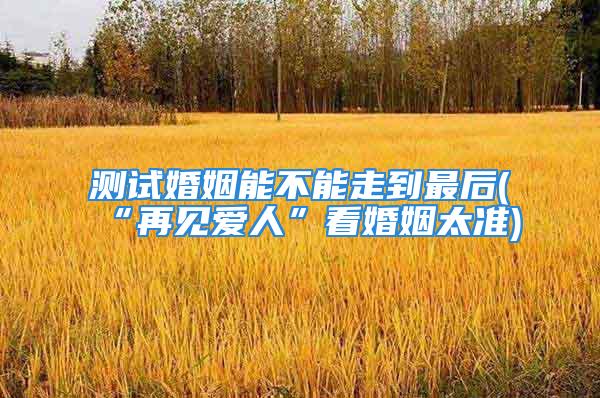 测试婚姻能不能走到最后(“再见爱人”看婚姻太准)