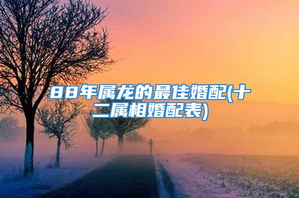 88年属龙的最佳婚配(十二属相婚配表)