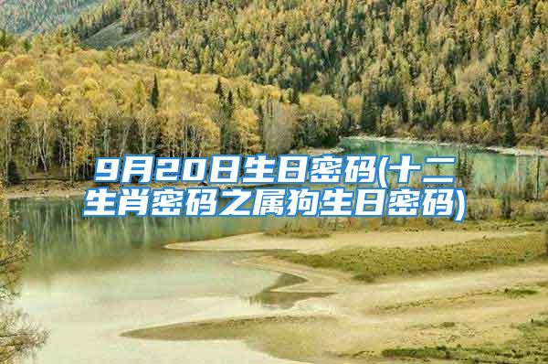 9月20日生日密码(十二生肖密码之属狗生日密码)