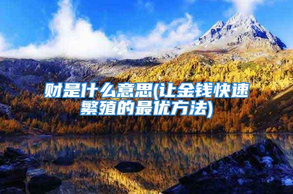 财是什么意思(让金钱快速繁殖的最优方法)