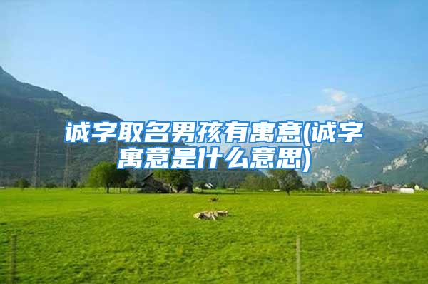 诚字取名男孩有寓意(诚字寓意是什么意思)