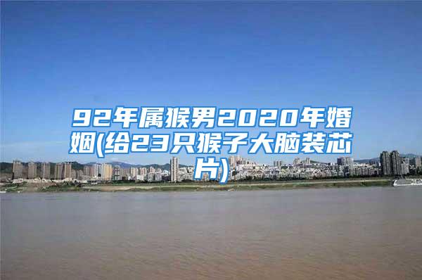92年属猴男2020年婚姻(给23只猴子大脑装芯片)