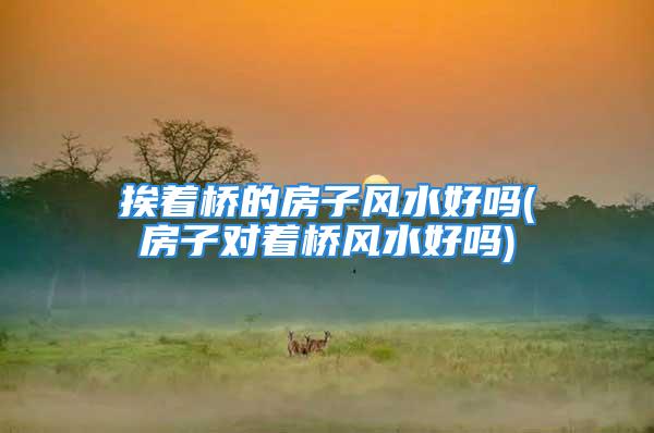 挨着桥的房子风水好吗(房子对着桥风水好吗)