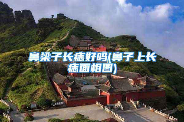 鼻梁子长痣好吗(鼻子上长痣面相图)