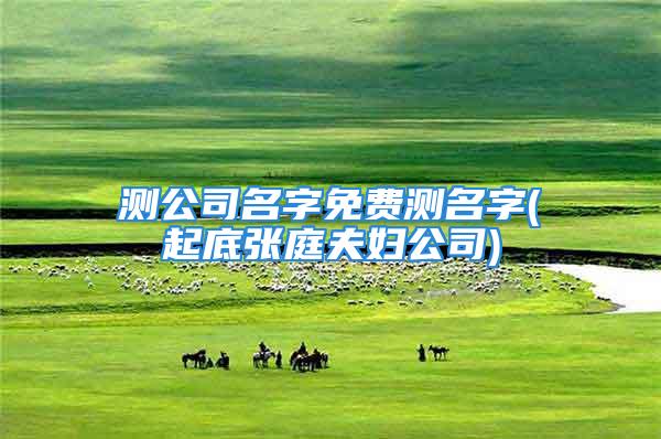 测公司名字免费测名字(起底张庭夫妇公司)