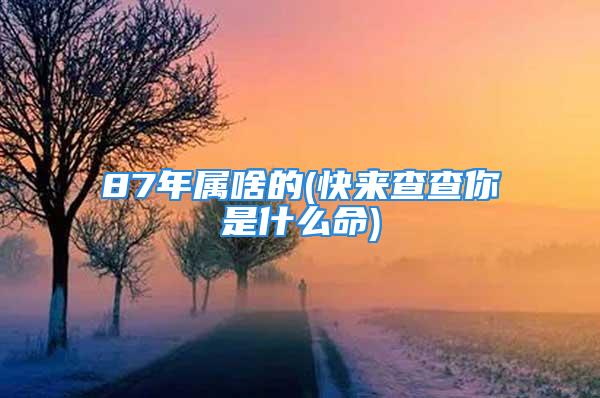 87年属啥的(快来查查你是什么命)