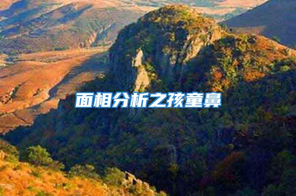 面相分析之孩童鼻