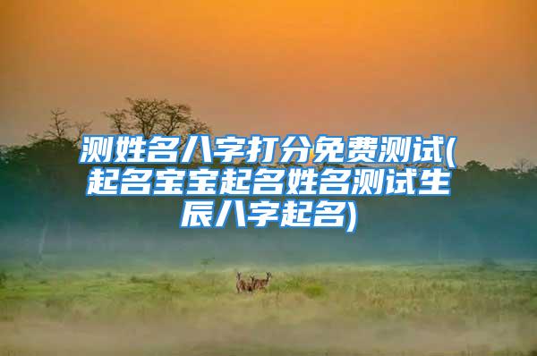 测姓名八字打分免费测试(起名宝宝起名姓名测试生辰八字起名)